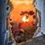 Lori Rodriguez's profile image