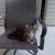 Sandy Norderhus Conway's profile image