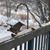 Jana Schroeer's profile image