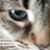 Alan Sussman's profile image