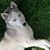 Nancy Liebner-Sparano's profile image