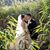 Lauren Nicole DiLorenzo's profile image