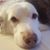 Liz Kersting's profile image