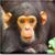 Mary E Narramore's profile image