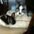 Lynda Lupinacci's profile image
