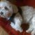 Ann Hawley's profile image