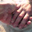 Mandy Gafford's profile image