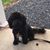 Catherine Taylor Neff's profile image