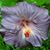 Tammy Oldson's profile image