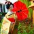 ทนงศักดิ์ เลายี่ปา's profile image