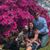 Rachelle Saucier's profile image