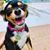 Cindy Hobbs Camp's profile image