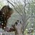 Marian Buehler's profile image