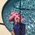 Karen Ruiz's profile image