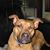 Virginia Lazzio's profile image