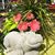 Debbi Bacak's profile image