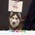 Betsy Louvett's profile image