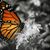 Darlene Vaughn's profile image