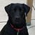 Margaret McCullough's profile image