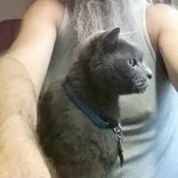 Anonymous's profile image