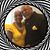 Clarice Billings's profile image