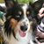 Sandy Orvis Krause's profile image