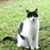 Gayle G Burns's profile image