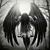 Darri Davis's profile image