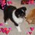 Holly Tucker's profile image