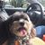 Nydia Gunther's profile image