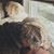 Hollie Scott's profile image