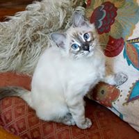 Judy Farrow's profile image