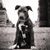 Kendra Berard's profile image