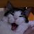 Sandie Dunfee's profile image