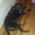 Brent Vargo's profile image