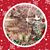 Pat Turnquist's profile image