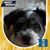Jane Widdowfield's profile image