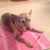 Diane Collette's profile image