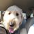 Brenna Elizabeth's profile image