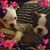 Sylvia Aponte's profile image