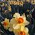 Marcia Graham's profile image