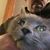 Vinny Kurtz's profile image