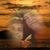 Teresa Krizan's profile image