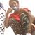 Curtis Thompson's profile image