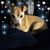 Debbie Boddie's profile image