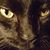 James Martin McMurphy's profile image