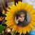 Ruth Lyn Foss's profile image