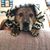 Cheryl Vick's profile image