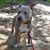 Terri Franck's profile image