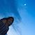 Roselin Valenzuela's profile image